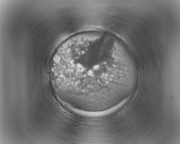 X0000063511363200602172134