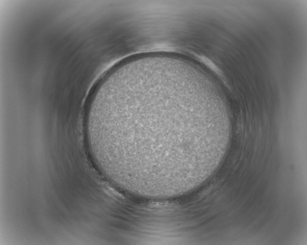 X0000063511364200602172134