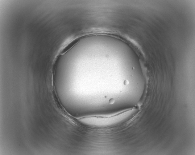 X0000063511365200602172134