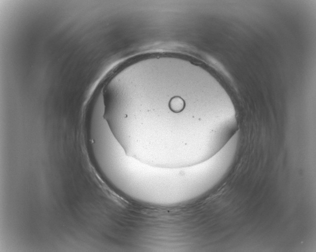 X0000063511368200602172134