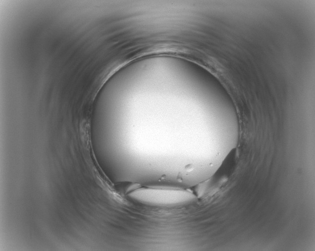 X0000063511369200602172134