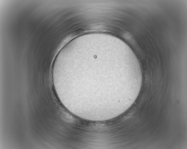 X0000063511370200602172134