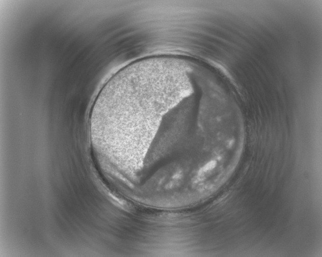 X0000063511371200602172134