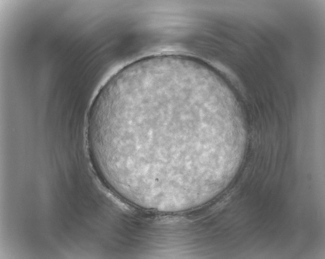 X0000063511374200602172134