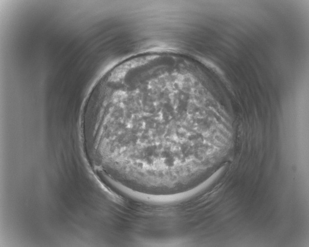 X0000063511375200602172134