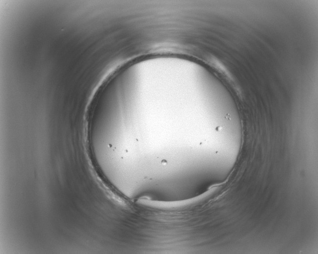 X0000063511376200602172134