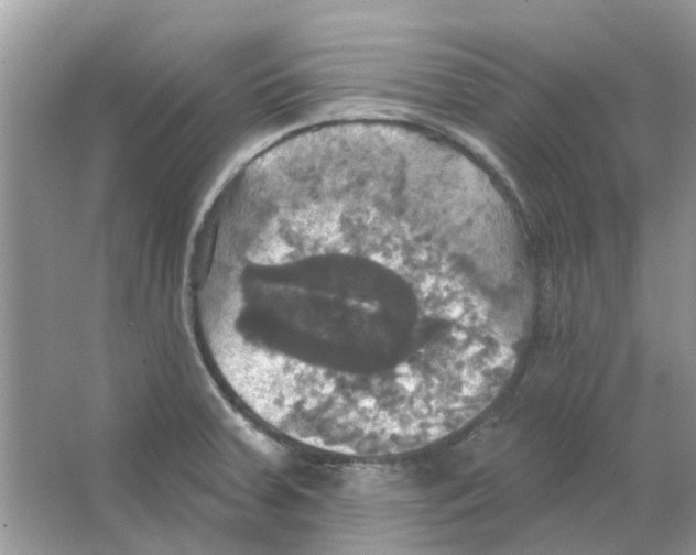 X0000063511379200602172134