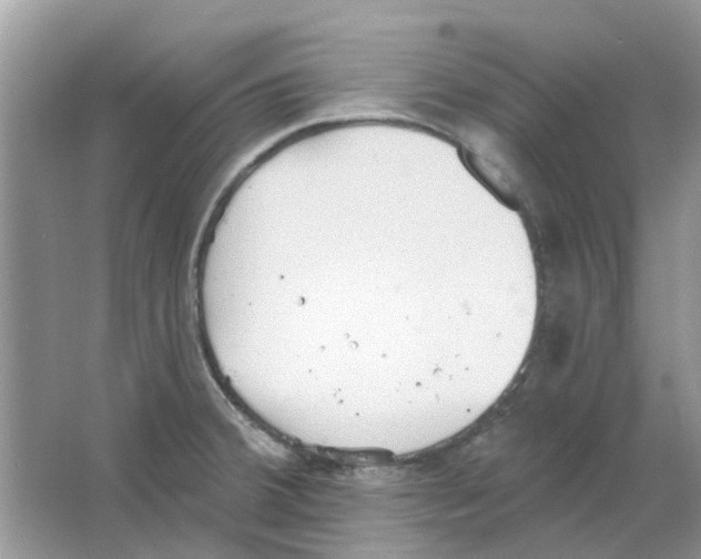 X0000063511380200602172134