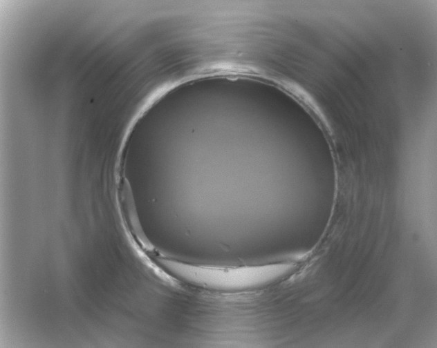 X0000063511381200602172134