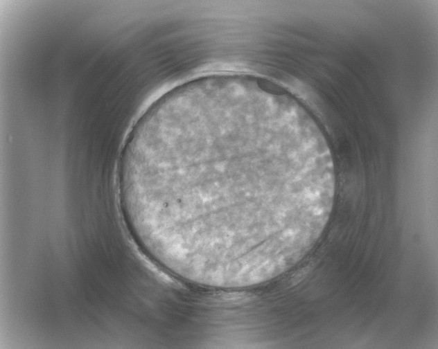 X0000063511382200602172134