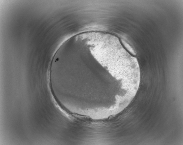 X0000063511383200602172134