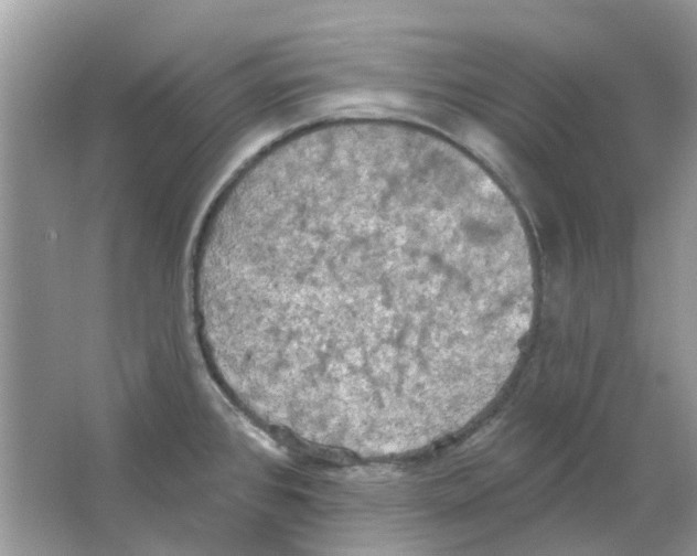 X0000063511384200602172134