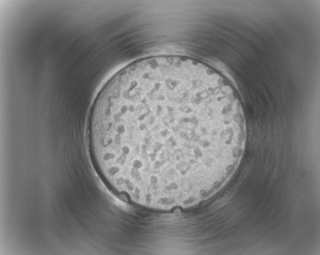 X0000063511387200602172134