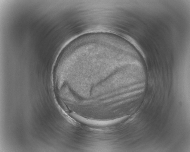 X0000063511388200602172134