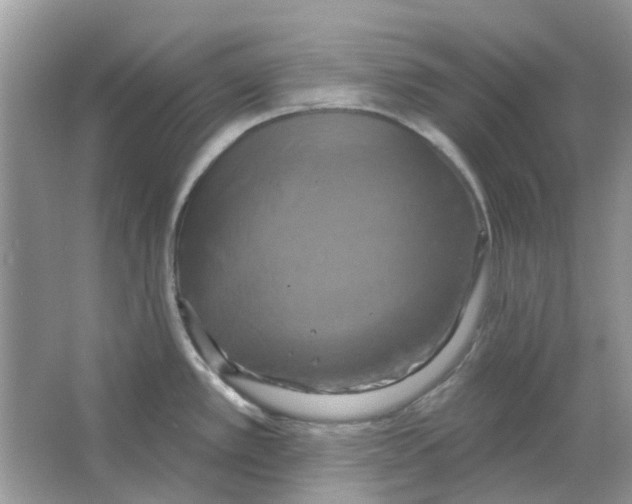 X0000063511389200602172134