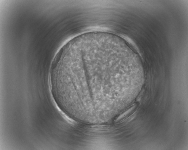 X0000063511391200602172134