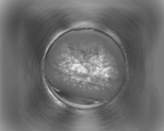 X0000063511392200602172134