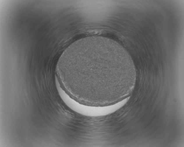 X0000063511394200602172133