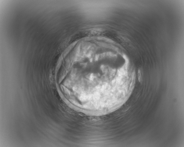 X0000063511395200602172133