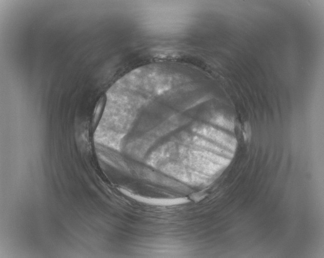 X0000063511396200602172133