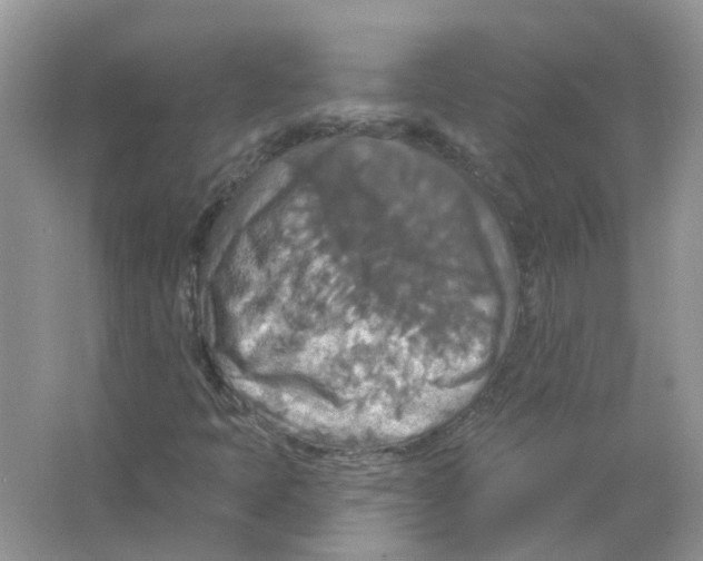 X0000063511397200602172133