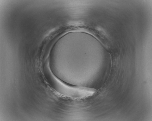 X0000063511398200602172133