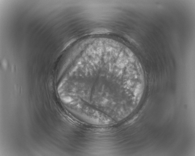 X0000063511401200602172133