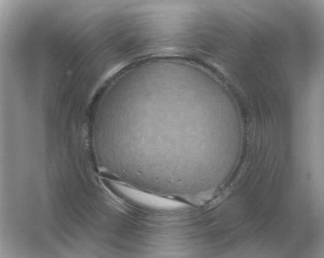 X0000063511402200602172133