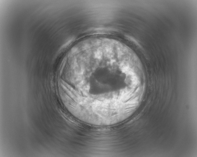 X0000063511403200602172133