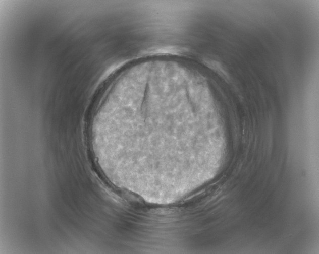 X0000063511404200602172133