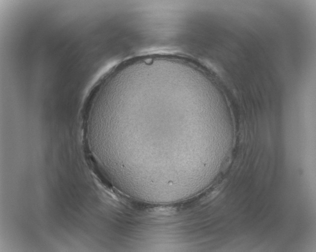 X0000063511406200602172133