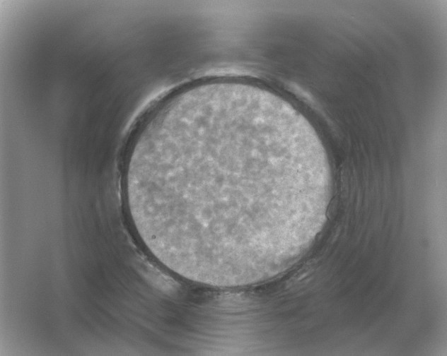 X0000063511408200602172133