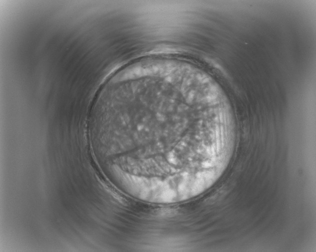 X0000063511409200602172133