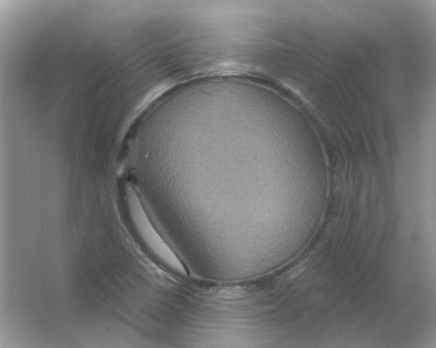 X0000063511410200602172133