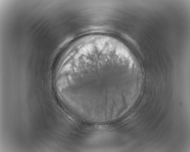 X0000063511411200602172133