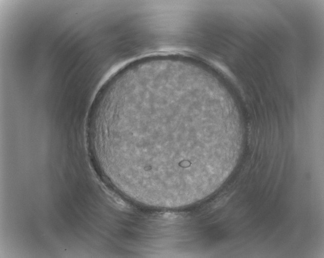 X0000063511412200602172133