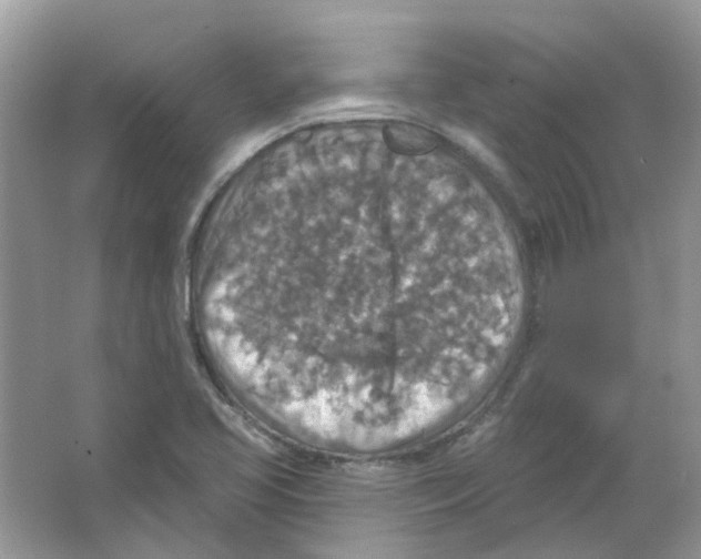 X0000063511413200602172133