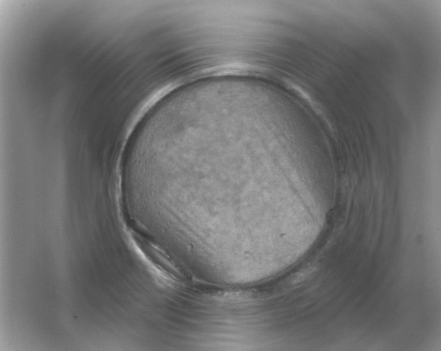 X0000063511418200602172134