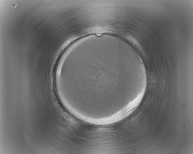 X0000063511419200602172134