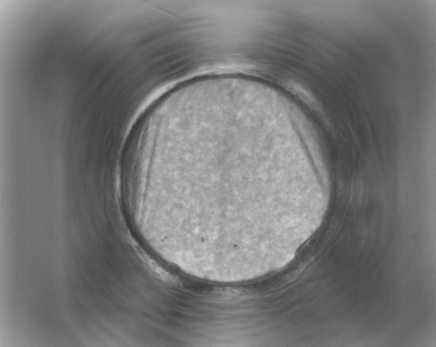 X0000063511420200602172134