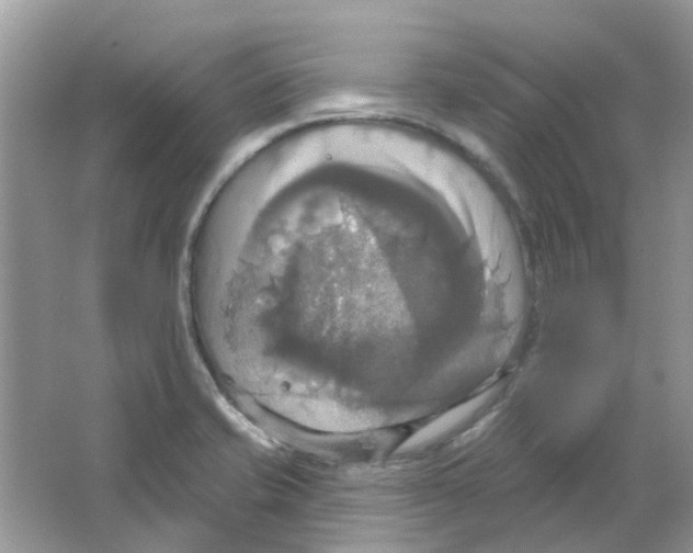 X0000063511421200602172134