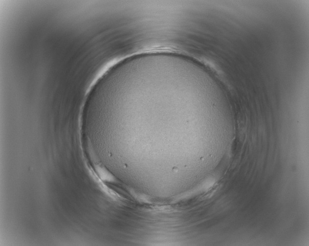 X0000063511422200602172134