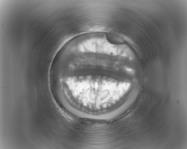 X0000063511423200602172134