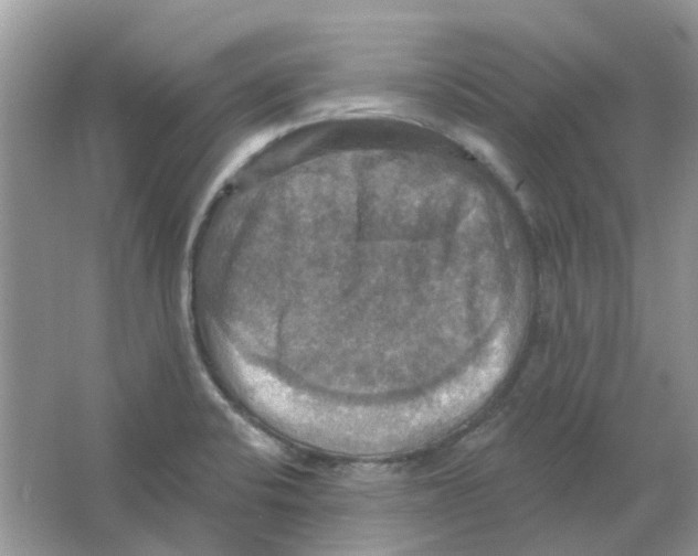 X0000063511424200602172134