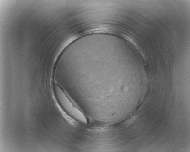 X0000063511426200602172134