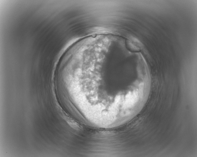 X0000063511427200602172134