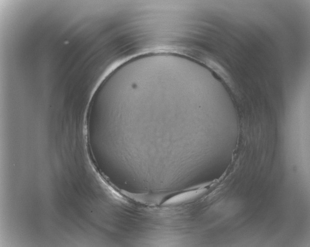 X0000063511428200602172134