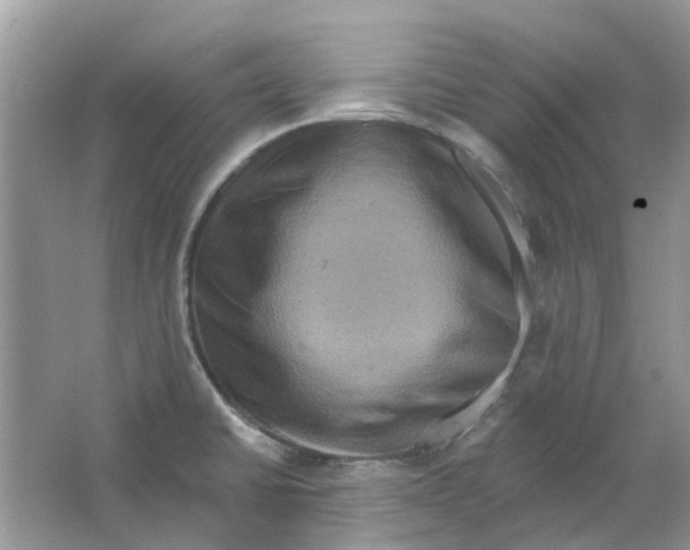 X0000063511430200602172134