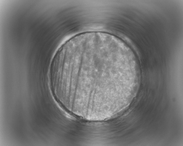 X0000063511432200602172134