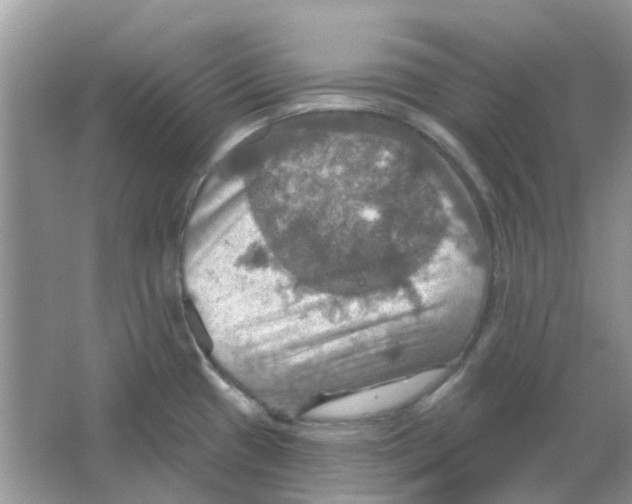 X0000063511433200602172134